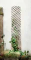 Produktbild: Wandspalier Rankhilfe Kletterhilfe Naturweide Beet Garten Balkon H. bis 220 cm