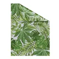 Produktbild: Lichtblick Fensterfolie, Polyvinylchlorid (PVC), Format: 50 x 50 cm (B x L) cm - gruen