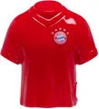 Produktbild: FC Bayern München Buntstift Spitzer Trikot