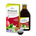 Produktbild: Herbaria Blutquick 500 ml - Nahrungsergänzungsmittel mit Eisen & Vitaminen. Auch für die Schwangerschaft und während des Stillens – glutenfrei, alkoholfrei und vegan