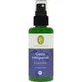 Produktbild: GANZ entspannt Raumspray Bio 50 ml