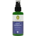 Produktbild: 2x GANZ entspannt Raumspray Bio 50 ML