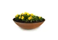 Produktbild: matches21 HOME & HOBBY Blumentopf Flache Pflanzschale für draussen Dekoschale rund Rost-Optik 28 cm (1 St), Blumen-Schale als wetterfeste Friedhof-Schale Grab-Schmuck Grabschale