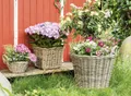 Produktbild: Rattan Korb Gr. XL Korbgefecht Pflanzenkübel Griffe Garten Terrasse Ø 45 H 40 cm