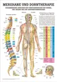 Produktbild: Meridiane u. Dorn Mini-Poster Anatomie 34x24 cm medizinische Lehrmittel