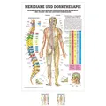 Produktbild: Sport-Tec Meridiane u. Dorn Mini-Poster Anatomie 34x24 cm medizinische Lehrmittel