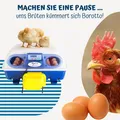 Produktbild: Borotto automatische REAL 24 - Patentierte professionelle Brutmaschine 🐓🐣🐤💙