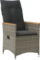 Produktbild: vidaXL Gartensessel Verstellbar mit Kissen Grau Poly Rattan