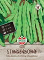 Produktbild: Stangenbohne Algarve, fadenlos, virusresistent, Saatgut von Sperli