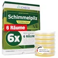 Produktbild: Schimmeltest Wohnung – Schimmeltester 6 Räume – Schnelltest mit Nährboden | Schimmelpilz Schnelltest zur Einschätzung der Raumluft