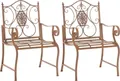 Produktbild: CLP 2er Set Gartenstühle Punjab mit Armlehnen,antik braun