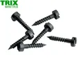 Produktbild: Minitrix / Trix N 66548 Gleisschrauben (150 Stück) - NEU + OVP