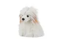 Produktbild: Teddys Rothenburg Kuscheltier Chinesischer Hund sitzend weiß 30 cm Plüschhund