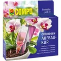 Produktbild: Compo Orchideen-Aufbaukur 5 x 30 ml