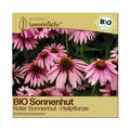 Produktbild: Samenliebe BIO Sonnenhut Samen Roter Sonnenhut - winterhart & mehrjährig