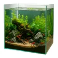 Produktbild: GarPet Würfel Aquarium 30x30x30 35x35x35 40x40x40 Becken Glasbecken 30 35 40 (30x30x30 cm)