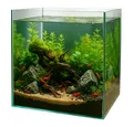 Produktbild: GarPet Aquarium Würfel Aquarium Becken 30 35 40 Glasaquarium Garnelen Nano Cube