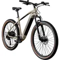 Produktbild: Remington XR01 E Bike Mountainbike 29 Zoll Pedelec 10 Gänge 540 Wh Akku Fahrrad Hardtail MTB