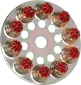 Produktbild: Box von 10 Scheiben mit 10 Pulverladungen 6.3/10 stark rot SPIT - 011658