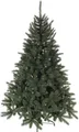 Produktbild: Black Box Trees Toronto Weihnachtsbaum Deluxe - H155 x Ø102 cm - Grün