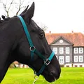 Produktbild: Pferdelinis Halfter für Warmblut, Vollblut, Kaltblut, Pony – Stallhalfter, Weidehalfter, 2-Fach verstellbare Dornschnallen, sicher & reißfest (Grün, Warmblut (Full))