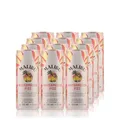Produktbild: Malibu Watermelon Fizz Dose 10% Vol. 12x0,25l