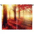 Produktbild: Abakuhaus Gardine Schlafzimmer Kräuselband Vorhang mit Schlaufen und Haken, Fallen Nebligen Morgen im Wald gelb|rot 280 cm x 225 cm