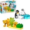 Produktbild: 10442 DUPLO Town Wildtier-Familien: Pinguine und Löwen, Konstruktionsspielzeug