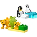 Produktbild: LEGO Duplo Wildtier-Familien: Pinguine und Löwen (10442) #1907279