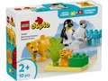 Produktbild: LEGO® Duplo 10442 Wildtier-Familien: Pinguine und Löwen NEU & OVP