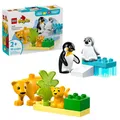 Produktbild: LEGO® DUPLO 10442 WILDTIER-FAMILIEN: PINGUINE UND LÖWEN NEU OVP