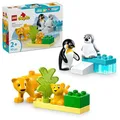 Produktbild: LEGO Duplo Town Tierfamilie: Pinguin und Löwe Spielzeug Geburtstagsgeschenk p...
