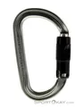 Produktbild: Petzl Am'D Ball-Lock Karabiner-Grau-One Size