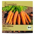 Produktbild: BIO Karotten Samen Sorte Berlikum 2 Gemüsesamen BIO Gemüse Saatgut samenfeste Ka