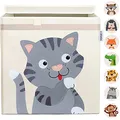 Produktbild: GLÜCKSWOLKE Kinder Aufbewahrungsbox - 15 Motive I Spielzeugkiste mit Deckel für Kinderzimmer I Spielzeug Boxen (33x33x33) Kiste zur Aufbewahrung im Kallax Regal I Bauernhof-Tiere Katze