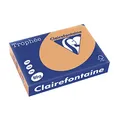 Produktbild: Clairefontaine 1879C - Ries Druckerpapier / Kopierpapier Trophee, Pastell Farben, DIN A4, 80g, 500 Blatt, Camel, 1 Ries