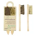 Produktbild: Peggy Perfect Schuhauftragsbürste Holz/Naturborste 2 Stück (11057)