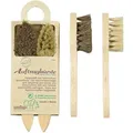 Produktbild: Peggy Perfect Schuhauftragsbürste Holz/Naturborste 2 Stück