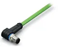 Produktbild: WAGO 756-1202/060-050 Sensor-/Aktor-Datensteckverbinder, konfektioniert M12 Stecker, gewinkelt 5.00m Polzahl Sensoren: 4 1St.