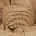 Produktbild: Seil 100% Jute 12 mm 100 m Vidaxl