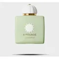 Produktbild: Amouage Existence Eau de Parfum 100 ml – Unisex-Duft mit mineralischen, harzigen und holzigen Noten – Riviera Beauty Market