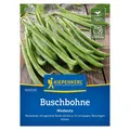 Produktbild: Gemüsesamen, Buschbohnen 'Modesto'