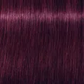 Produktbild: Schwarzkopf Igora Royal 6-99 Dunkelblond Violett
