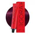 Produktbild: Schwarzkopf Igora Royal 6-99 Extra Violettes Dunkelblond 60ml