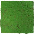 Produktbild: Jangal Wandpaneel Modular Wall Forest Green Design Moos 52 x 52 cm