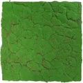 Produktbild: Jangal - Modular Wall Akustik 3d Paneele 520 X 520 Mm Forest Green Design Moos Kunst Pflanzwand Moospaneele