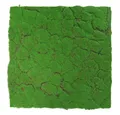 Produktbild: JANGAL 3D Wandpaneel Modular Wall Akustikpaneel, Die Holz- und Steinoberflächen sind aus Echtholz- und Echtsteinfurnier