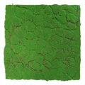 Produktbild: JANGAL Modular Wall Pflanzenwand  520 x 520 mm Design Moos Forest Green Moos