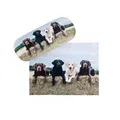 Produktbild: niedliches Brillenetui mit weichem Microfaserbezug und Microfasertuch - LABRADOR