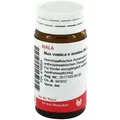 Produktbild: Nux Vomica E Sem. D6 Globuli